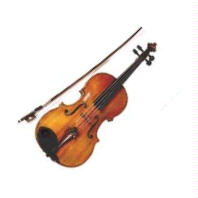 viola.jpg