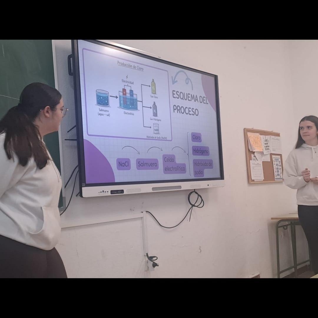 5e4f9195-7eaa-4400-9173-20b5e2ebc6e7.jpg